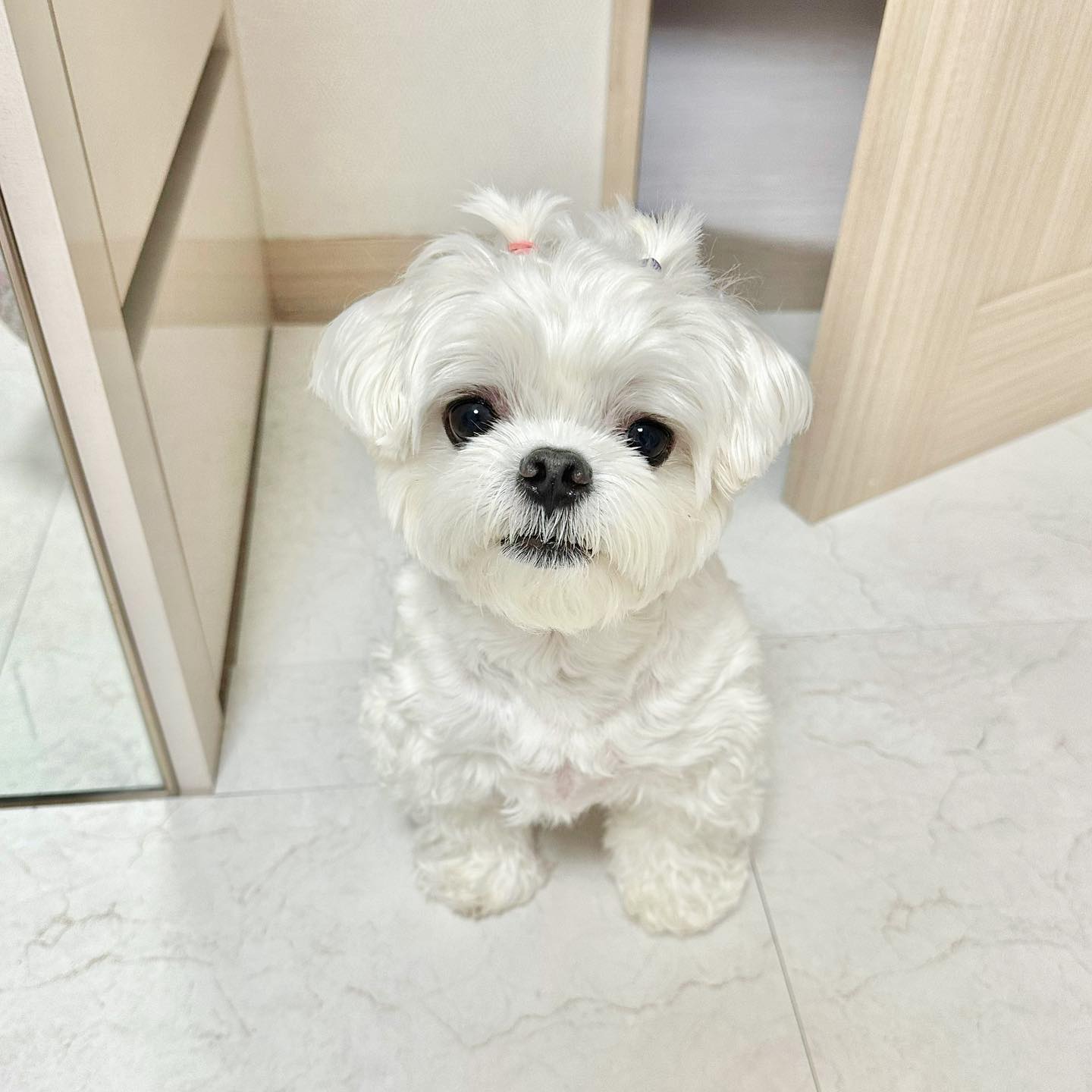 Betty