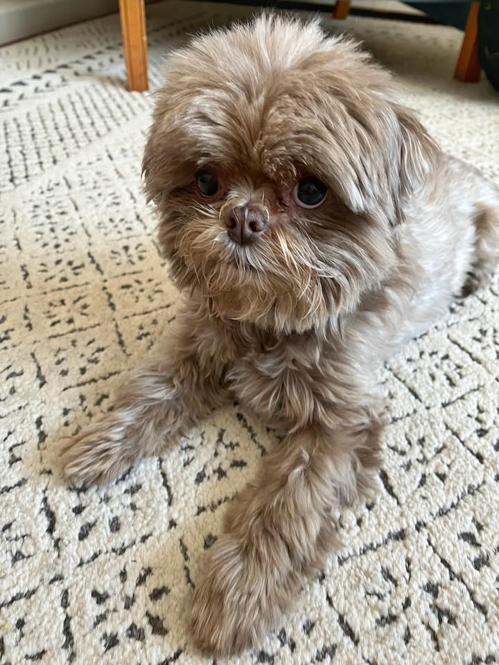Cooper