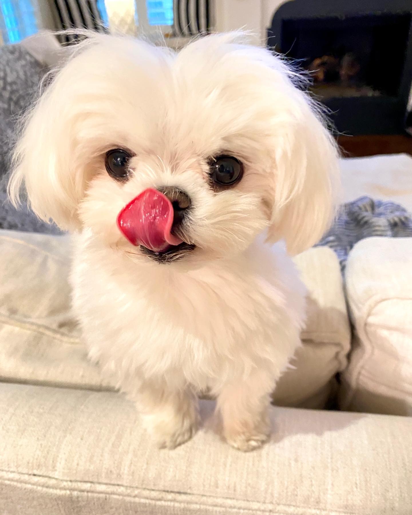 Milo