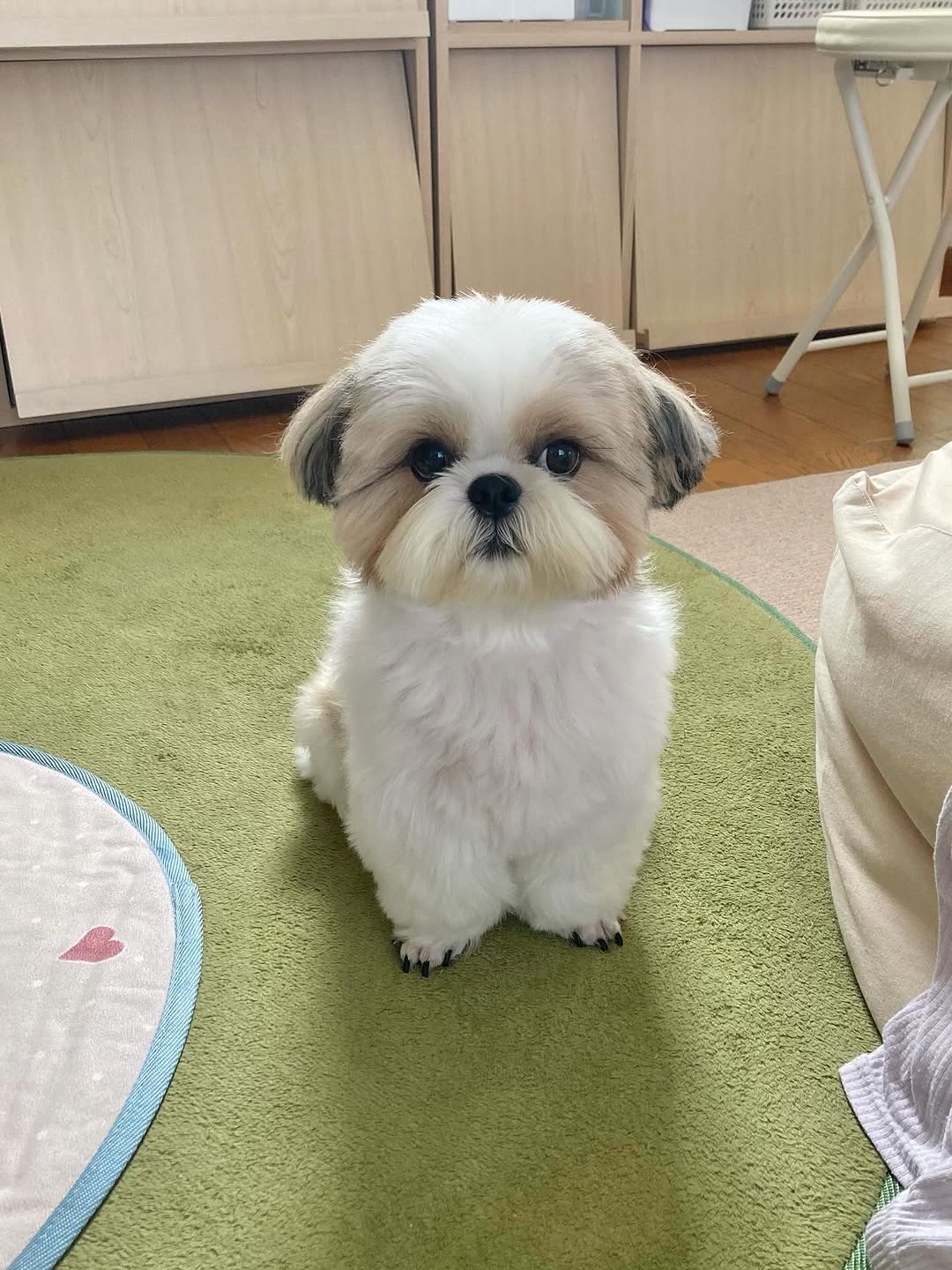Oliver