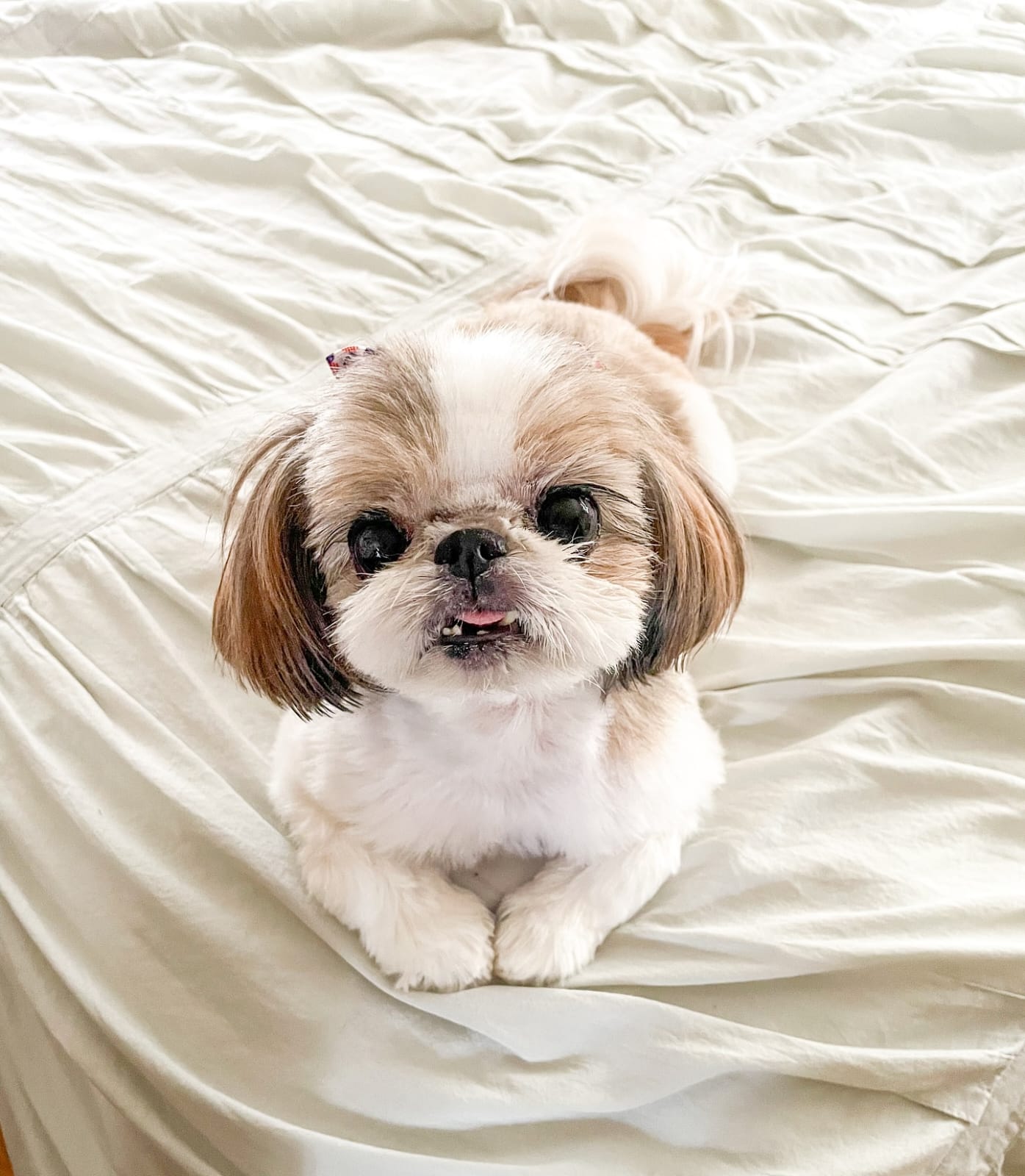 Tilly