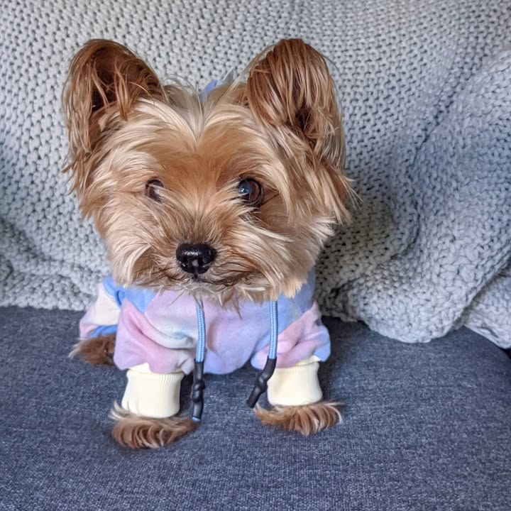 Lola