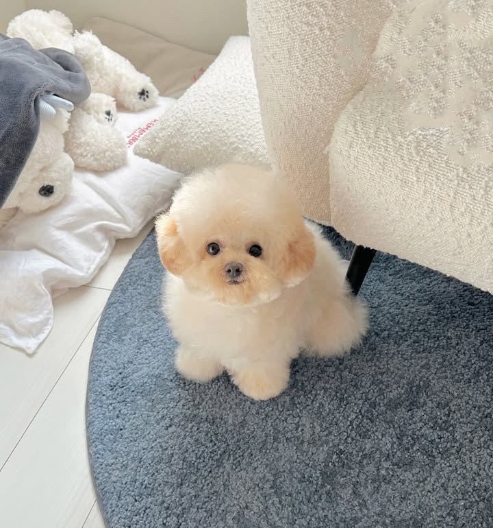 Rosie